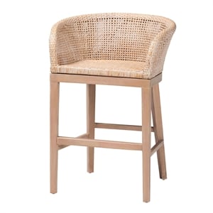 Pemberly Row Antique White Washed Rattan and Mahogany Wood Counter Stool