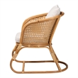 Pemberly Row Light Honey Rattan Arm Chair with Cane Webbing Detail