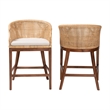 Pemberly Row Light Honey Rattan and Wood 2-Piece Counter Stool Set