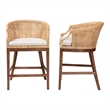 Pemberly Row Light Honey Rattan and Wood 2-Piece Counter Stool Set