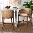 Pemberly Row Light Honey Rattan and Wood 2-Piece Counter Stool Set