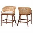 Pemberly Row Light Honey Rattan and Wood 2-Piece Counter Stool Set