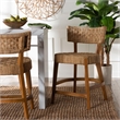 Pemberly Row Seagrass and Mahogany Wood Counter Stool with Footrest