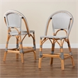 Pemberly Row Black and White Woven Rattan 2-Piece Counter Stool Set