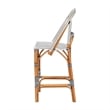 Pemberly Row Black and White Woven Rattan French Bar Stool with Footrest