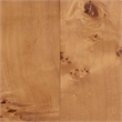 Pemberly Row Natural Mappa Burl Wood 2-Door Console Cabinet with Shelves