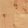 Pemberly Row Natural Mappa Burl Wood Storage Cabinet with 2 Shelves
