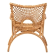 Pemberly Row Natural Rattan Openwork Arm Chair with Curved Legs