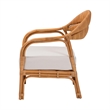 Pemberly Row Light Honey Rattan Arm Chair with Woven Backrest