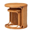 Pemberly Row Honey Rattan 2-Piece Nesting End Table Set with Round Tops