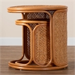 Pemberly Row Honey Rattan 2-Piece Nesting End Table Set with Round Tops