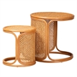 Pemberly Row Honey Rattan 2-Piece Nesting End Table Set with Round Tops