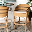 Pemberly Row Rattan Barrel-Back Counter Stool with Cushion and Footrest
