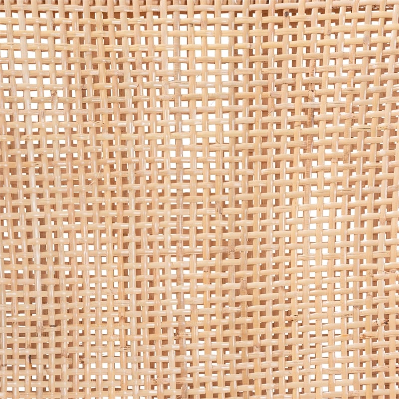 Pemberly Row Natural Rattan Wingback Dining Chair with Removable Cushion