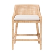 Pemberly Row Rattan Wingback Counter Stool with Cushion and Footrest