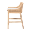 Pemberly Row Rattan Wingback Counter Stool with Cushion and Footrest