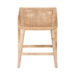Pemberly Row Rattan Wingback Counter Stool with Cushion and Footrest