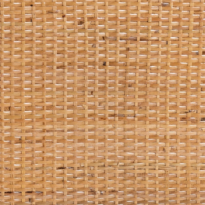 Pemberly Row Natural Rattan Peacock Fan Storage Cabinet with Arched Top