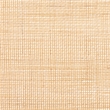 Pemberly Row Natural Rattan Arched Queen Standalone Headboard with Woven Panel
