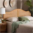 Pemberly Row Natural Rattan Arched Queen Standalone Headboard with Woven Panel