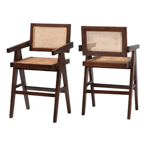 Pemberly Row Rattan Counter Stool Set of 2 with Mahogany Wood Frame