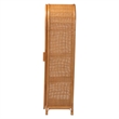 Pemberly Row Natural Rattan Arched Accent Cabinet with 4 Shelves