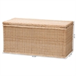 Pemberly Row Braided Rattan Storage Bench with Lift-Top and Mahogany Base