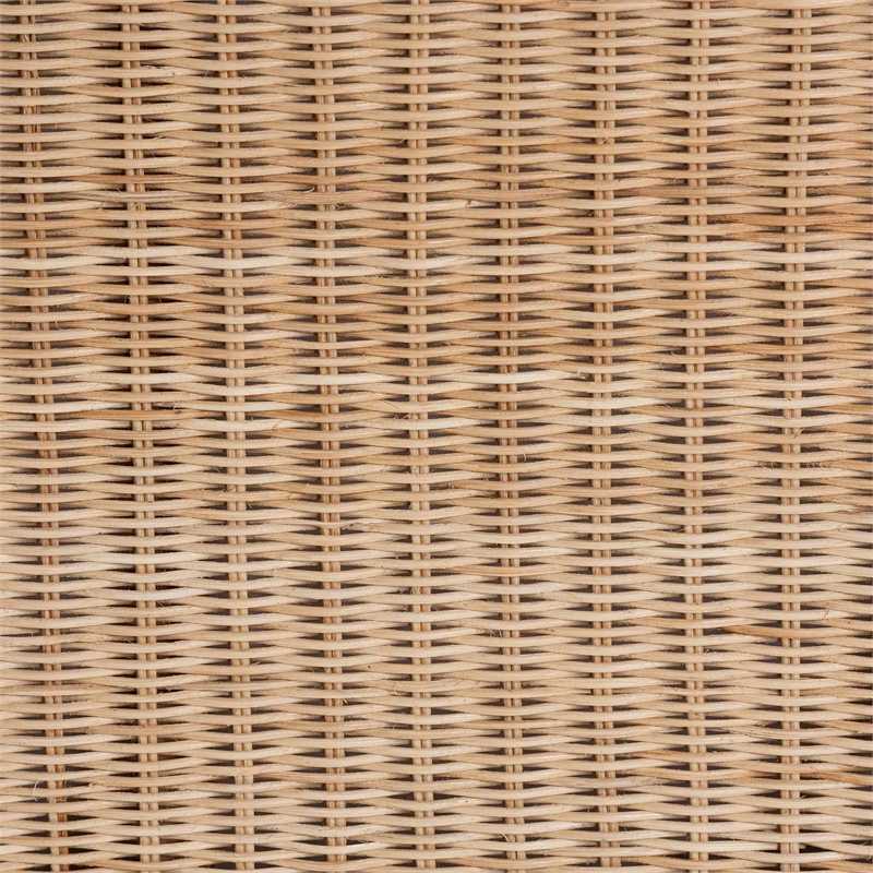 Pemberly Row Braided Rattan Storage Bench with Lift-Top and Mahogany Base