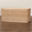 Pemberly Row Braided Rattan Storage Bench with Lift-Top and Mahogany Base