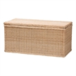 Pemberly Row Braided Rattan Storage Bench with Lift-Top and Mahogany Base