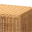 Pemberly Row Natural Rattan Scalloped Console Table with Metal Frame
