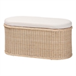 Pemberly Row Braided Rattan Storage Bench with Cushion and Lift-Top Lid