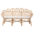 Pemberly Row Flora-Inspired Rattan Accent Bench with Removable Cushion