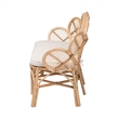 Pemberly Row Flora-Inspired Rattan Accent Bench with Removable Cushion