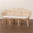 Pemberly Row Flora-Inspired Rattan Accent Bench with Removable Cushion