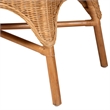 Pemberly Row Light Honey Rattan 3-Piece Living Room Set with Cushions
