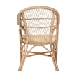 Pemberly Row Natural Rattan Arm Chair with Braided Outline and Angled Legs