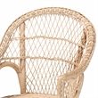Pemberly Row Natural Rattan Arm Chair with Braided Outline and Angled Legs