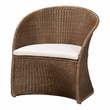 Pemberly Row Contemporary Greywashed Rattan Accent Chair with Cushion
