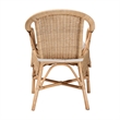 Pemberly Row Natural Rattan Scalloped Dining Chair with Cushion