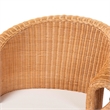 Pemberly Row Braided Honey Rattan Dining Chair with Scalloped Skirt