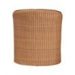 Pemberly Row Light Honey Rattan Arm Chair with Braided Detail