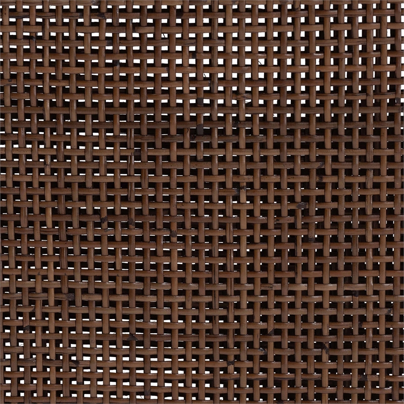 Pemberly Row Rattan Dining Chair with Cushion in Antique Coffee