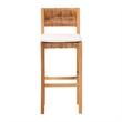 Pemberly Row Contemporary Seagrass and Mahogany Bar Stool with Cushion