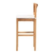 Pemberly Row Contemporary Seagrass and Mahogany Bar Stool with Cushion
