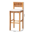 Pemberly Row Contemporary Seagrass and Mahogany Bar Stool with Cushion