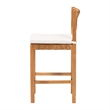 Pemberly Row Seagrass and Mahogany Counter Stool with Cushion
