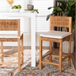 Pemberly Row Seagrass and Mahogany Counter Stool with Cushion