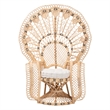 Pemberly Row Contemporary Rattan Peacock Chair with Fan Back and Cushion