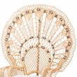 Pemberly Row Contemporary Rattan Peacock Chair with Fan Back and Cushion